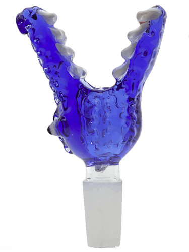 20230214_0145_12_11zon (2).png