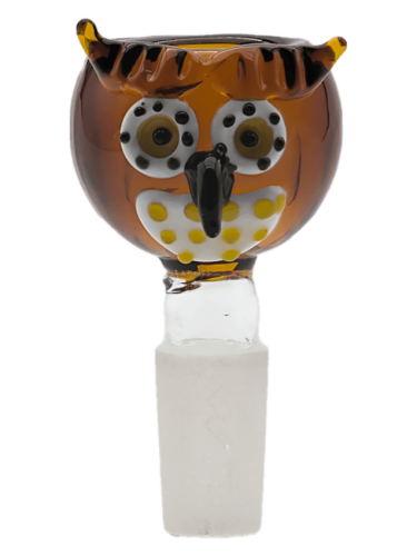 IMG_3255 (1).png