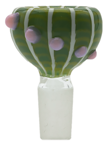 20230214_0077.png